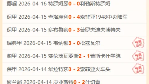 拼图式教学：中国游泳队教练迈克尔·波尔访谈录